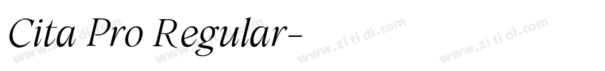 Cita Pro Regular字体转换